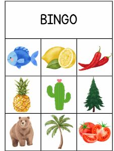Bingo de seres vivos