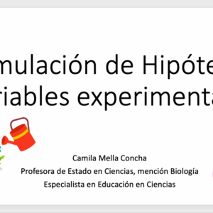 Formulación de hipótesis e identificación de variables