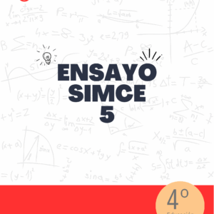 Ensayo SIMCE - Matemática 4to básico N° 5